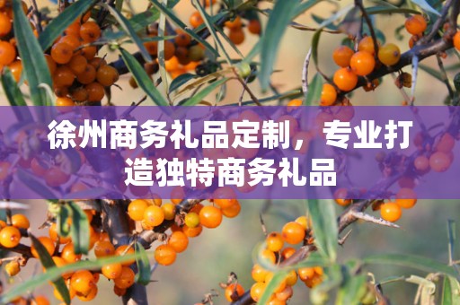 徐州商务礼品定制，专业打造独特商务礼品
